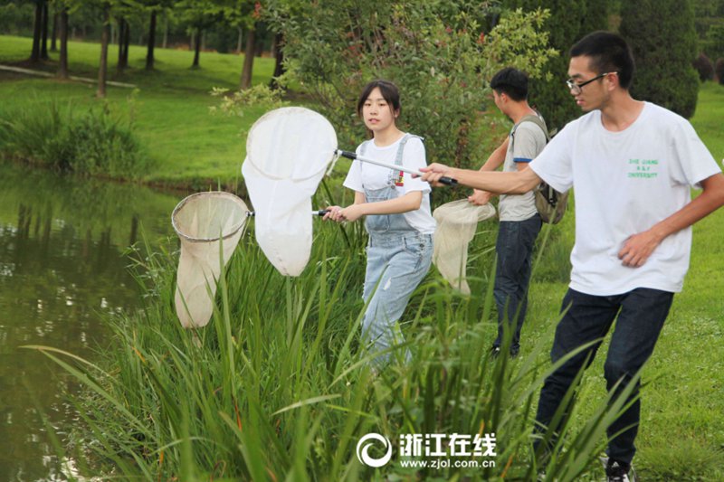 夏休みの宿題は昆虫の生け捕り300匹　浙江省