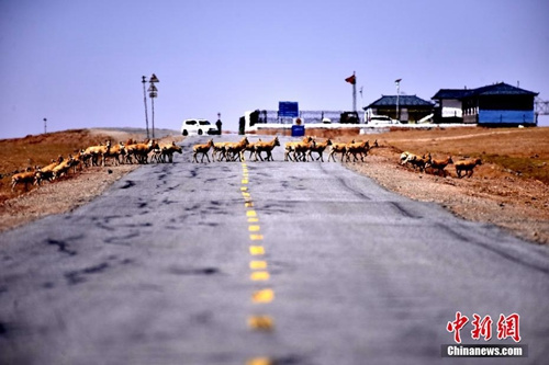 中国青海省のフフシルが世界遺産リストに登録