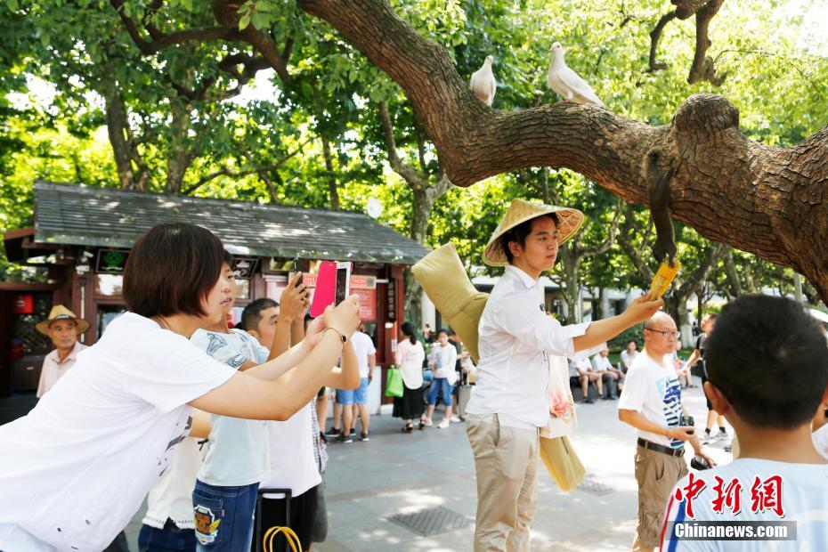 人間に慣れて、警戒することなくエサを食べる野生のリス　浙江省