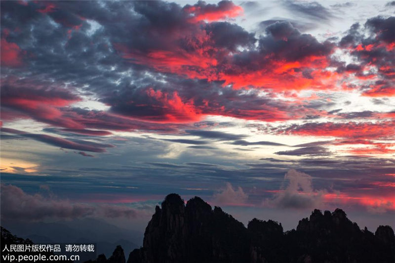 黄山に広がる雲海　夕刻に織りなす霞の絶景