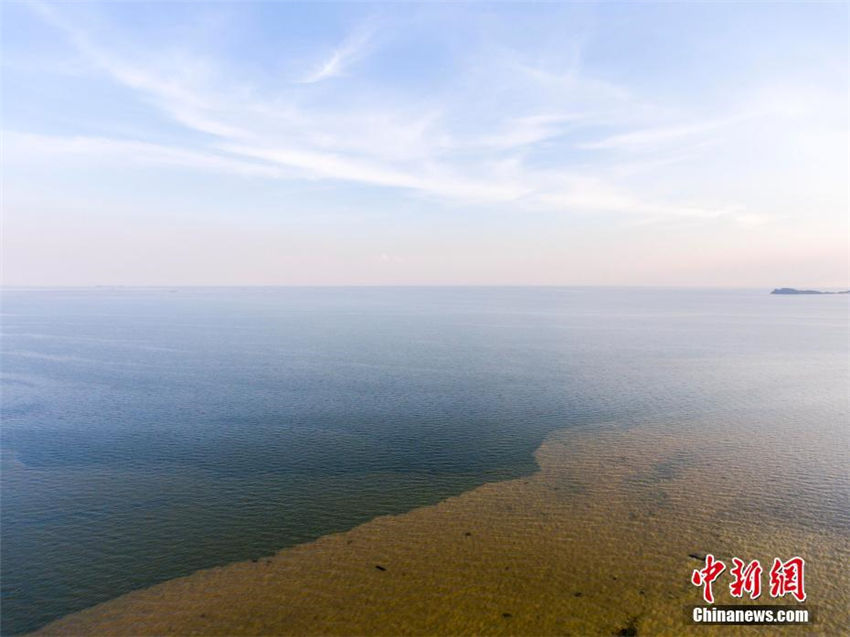 都昌水域に縞模様のような色の境界線　江西省