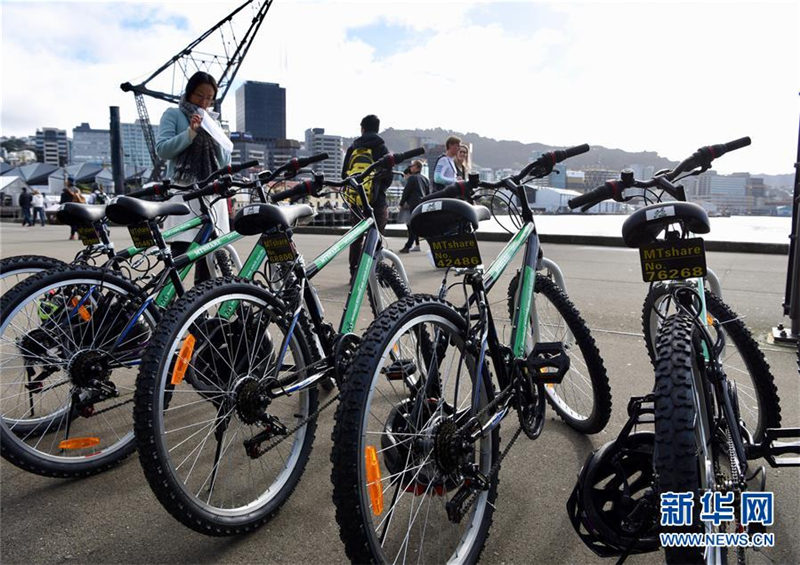 華人青年がNZでシェア自転車を展開