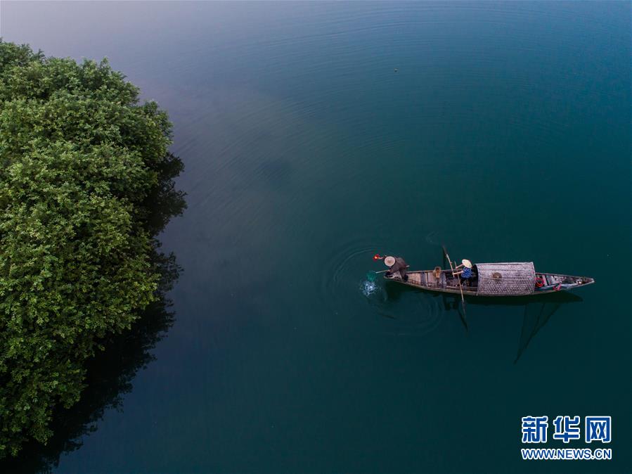 自然織り成す幻想的な景色　白いもやに包まれる浙江省の川
