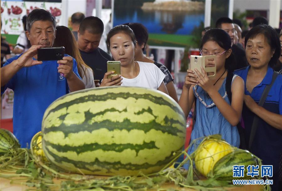 第10回遼寧国際農業博覧会に約63.5キロのスイカ登場　遼寧省