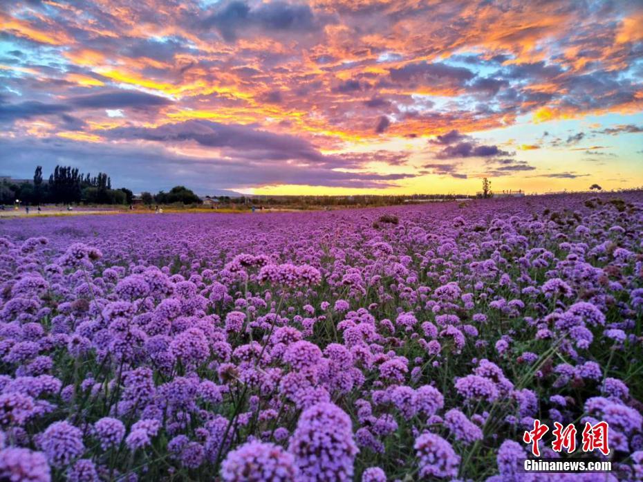 雨上がりの紫金苑に現れた美しい夕焼け空　甘粛省