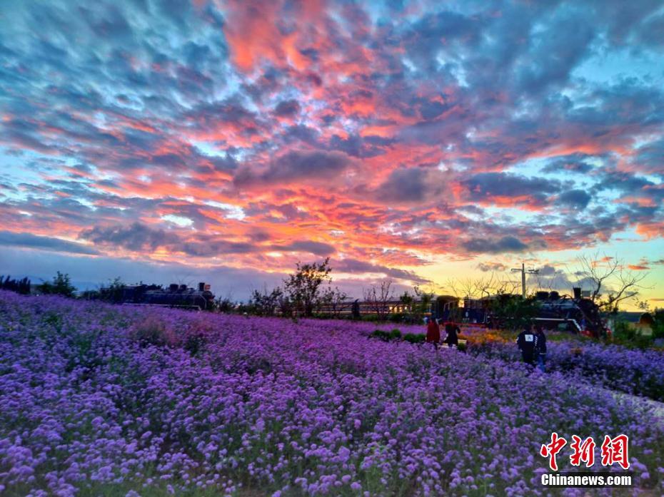 雨上がりの紫金苑に現れた美しい夕焼け空　甘粛省