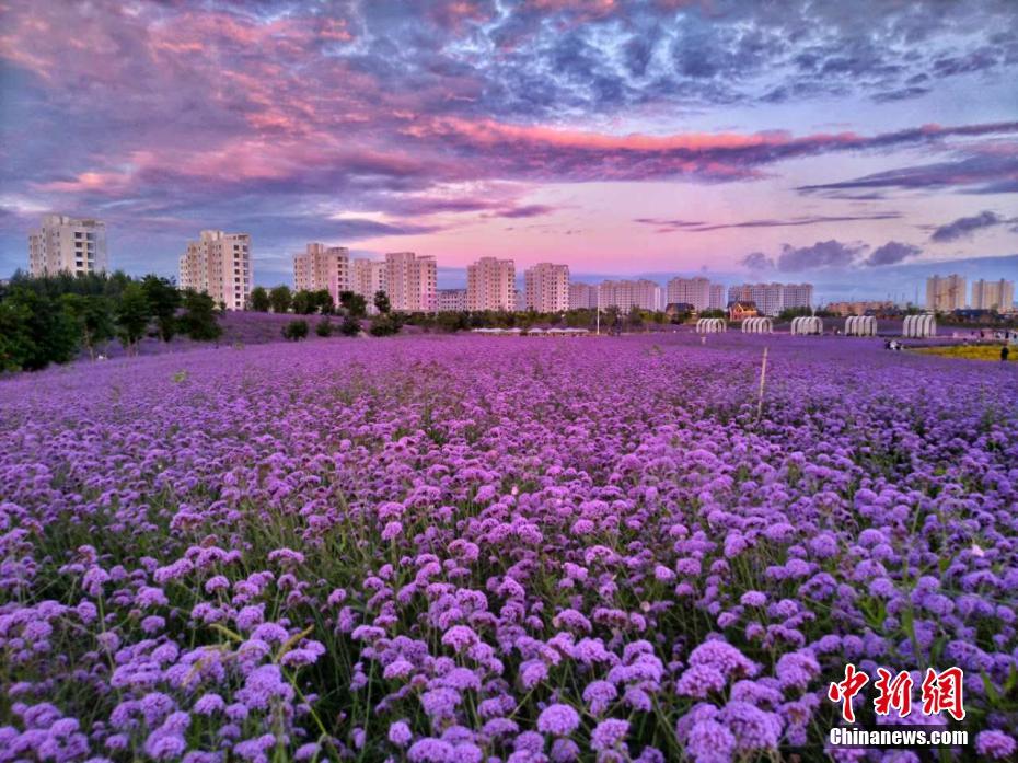 雨上がりの紫金苑に現れた美しい夕焼け空　甘粛省