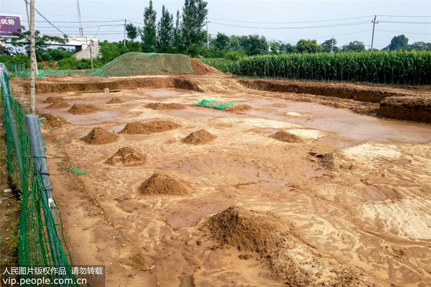 劉荘遺跡の発掘調査再開　劉荘墓地の全貌がほぼ明らかに