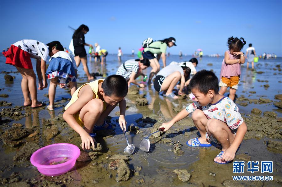 貝を拾い、カニを捕まえる潮干狩り体験　海南省