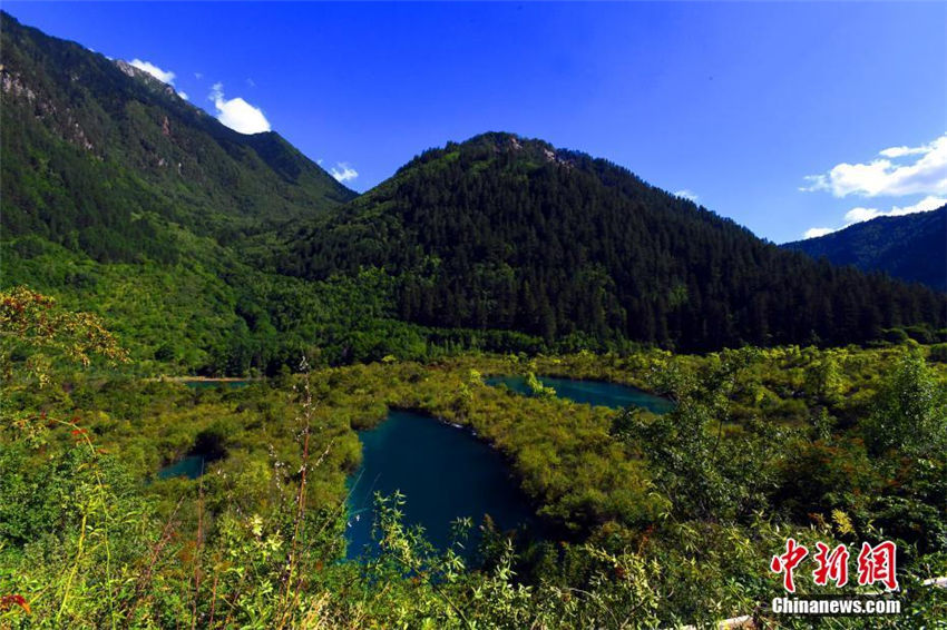 震災後もなお美しさを残す九寨溝・樹正群海　四川省