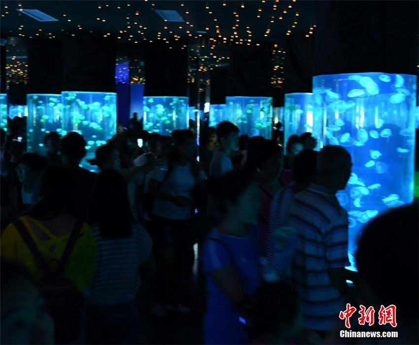 5千匹以上のクラゲを用いた幻想的なクラゲ展示　長春市