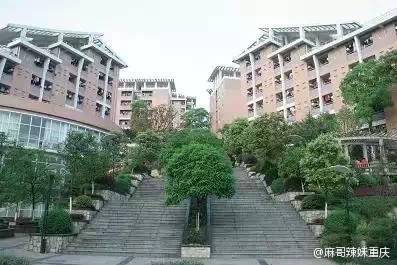 重慶市の建物がまた話題に！果てしなく続く石段「巫山百歩階段」