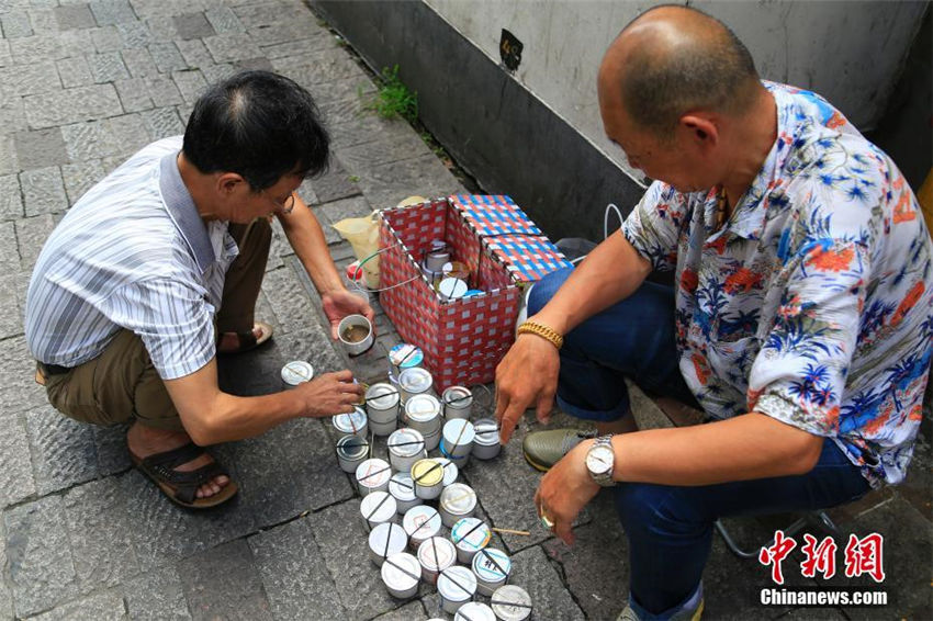 コオロギ市で今年の初売り開始、最高価格数千元のコオロギも　杭州市