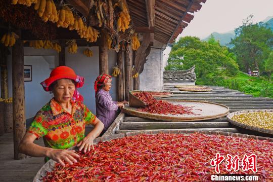 「中国で最も美しい村」、秋の収穫期を迎える　江西省