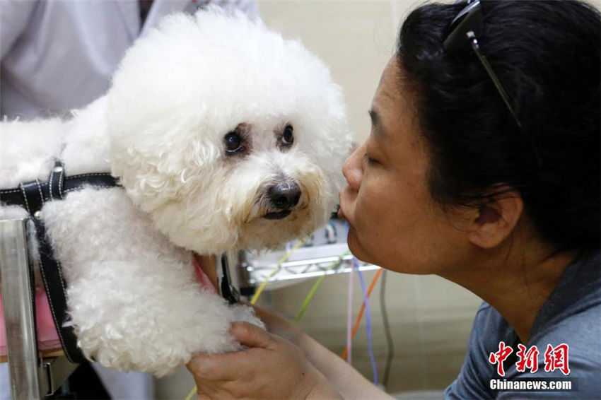 動物病院がペット向け中医治療サービス導入へ　北京市