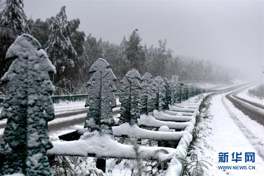 黒竜江省で8月に初雪を観測