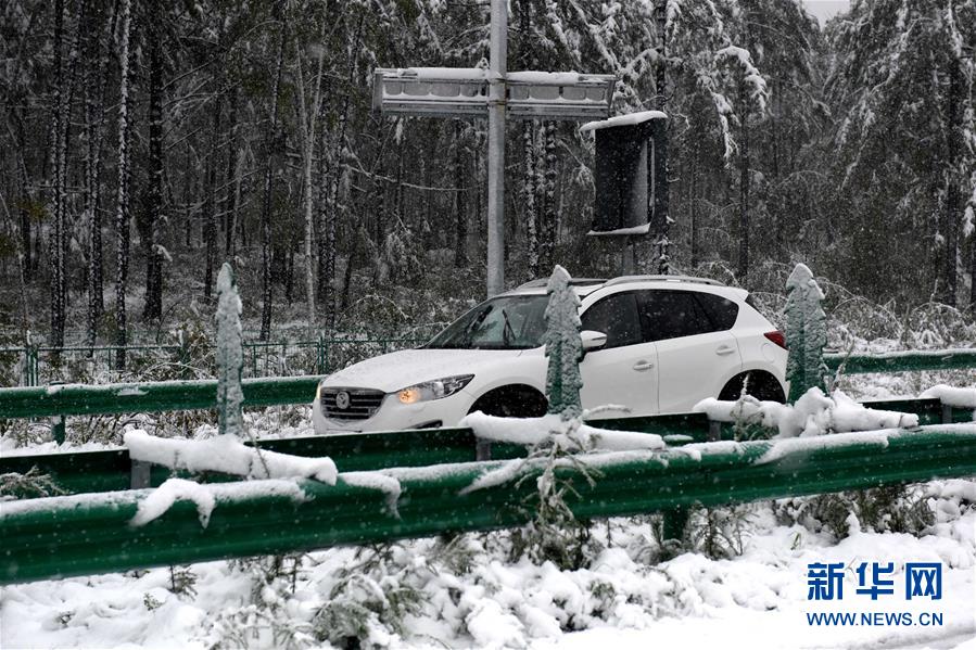 黒竜江省で8月に初雪を観測