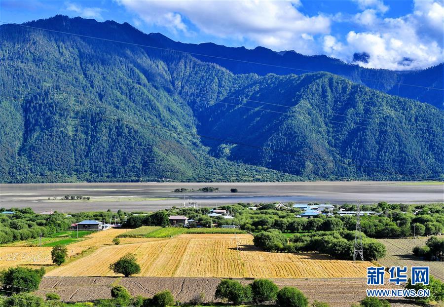 養鶏場や果樹栽培の発展で物々交換の歴史に幕下したチベットの村