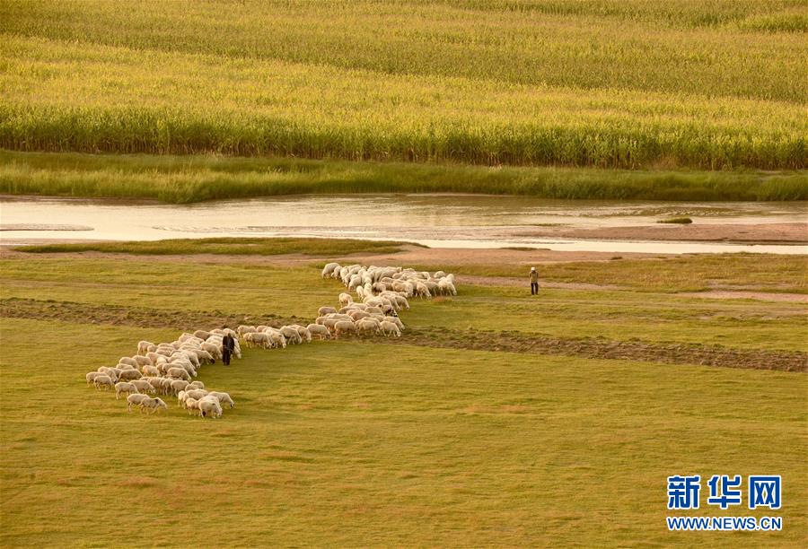 金秋のおとずれ感じさせる渾河両岸の風景　内モンゴル