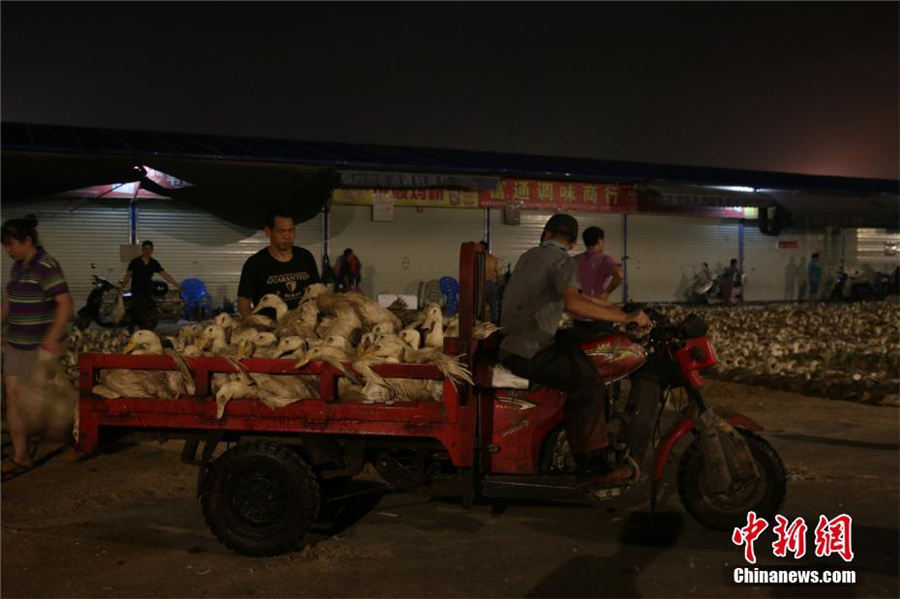 「鬼節」の風習でアヒルが飛ぶように売れる広西チワン自治区