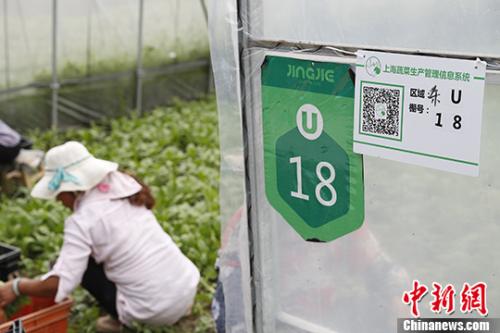 厳しい条件の「注文式農業」が話題　新鮮な商品をその日に販売　上海