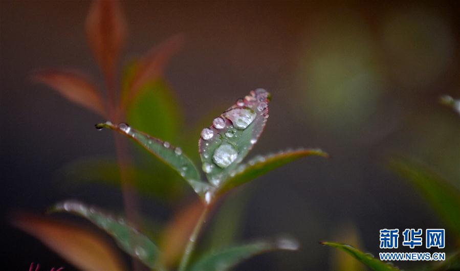 秋雨が降り、秋が深まる揚州市