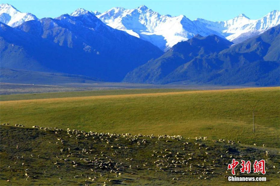 9月の祁連山、「初冠雪」を観測　甘粛省