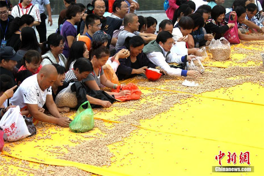 王屋山で「土」食い大会開催　約2トンの土饝を千人で山分け　河南省