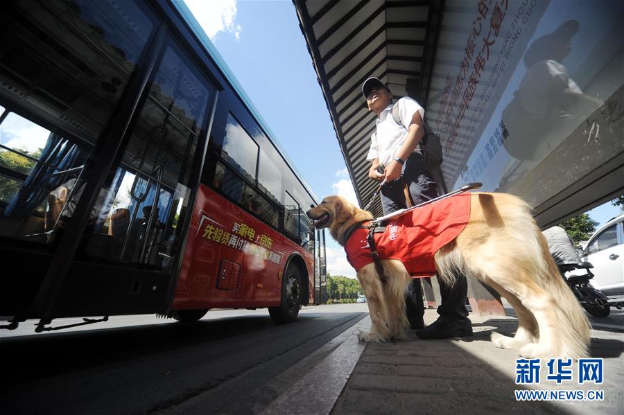 盲導犬「毛毛」の1日に密着