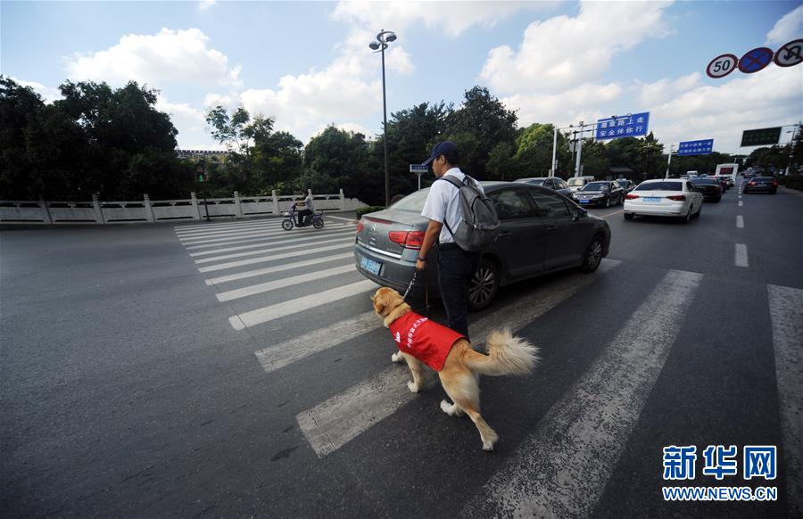 盲導犬「毛毛」の1日に密着