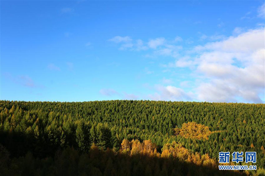 河北省の国立森林公園が秋らしい絶景に