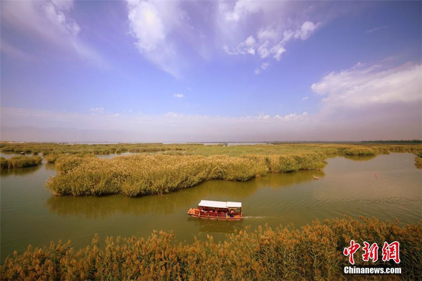 空から見た自然の楽園「塞上明珠」沙湖　寧夏回族自治区