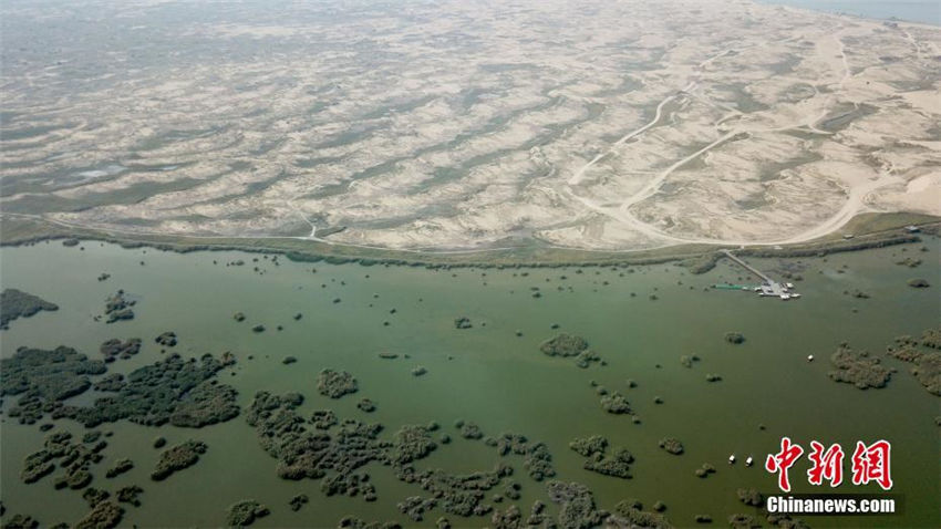 空から見た自然の楽園「塞上明珠」沙湖　寧夏回族自治区