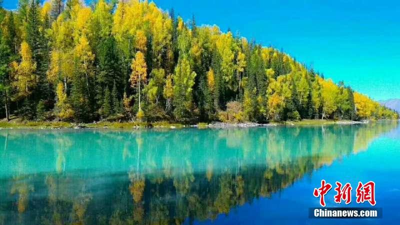 絵のように美しい新疆カナスの秋