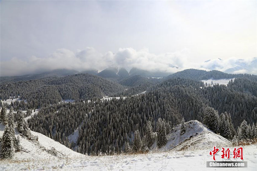 一面の銀世界、新疆の景勝地が一足先に冬景色に模様替え