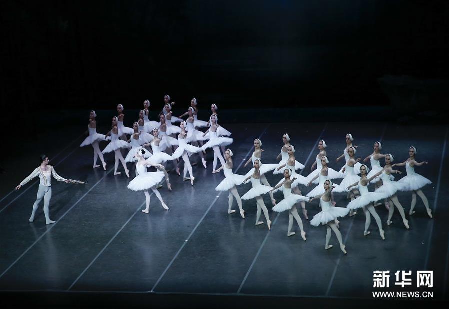 上海バレエ団が中国版「白鳥の湖」を披露　ヨーロッパで40回公演達成