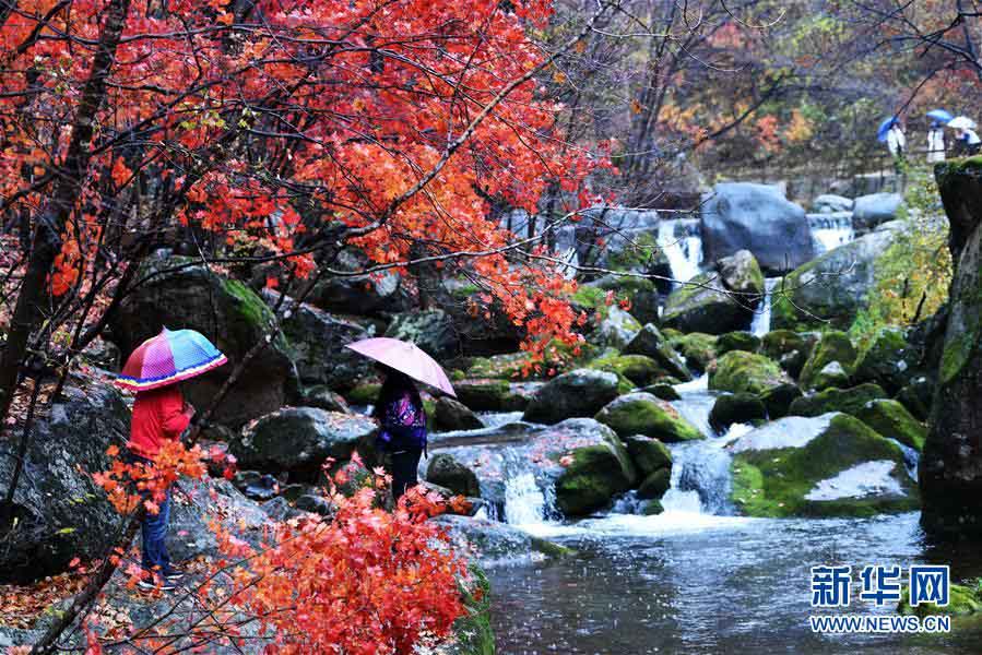 美しく鮮やかな紅葉　秋の彩り見せる遼寧の景勝地
