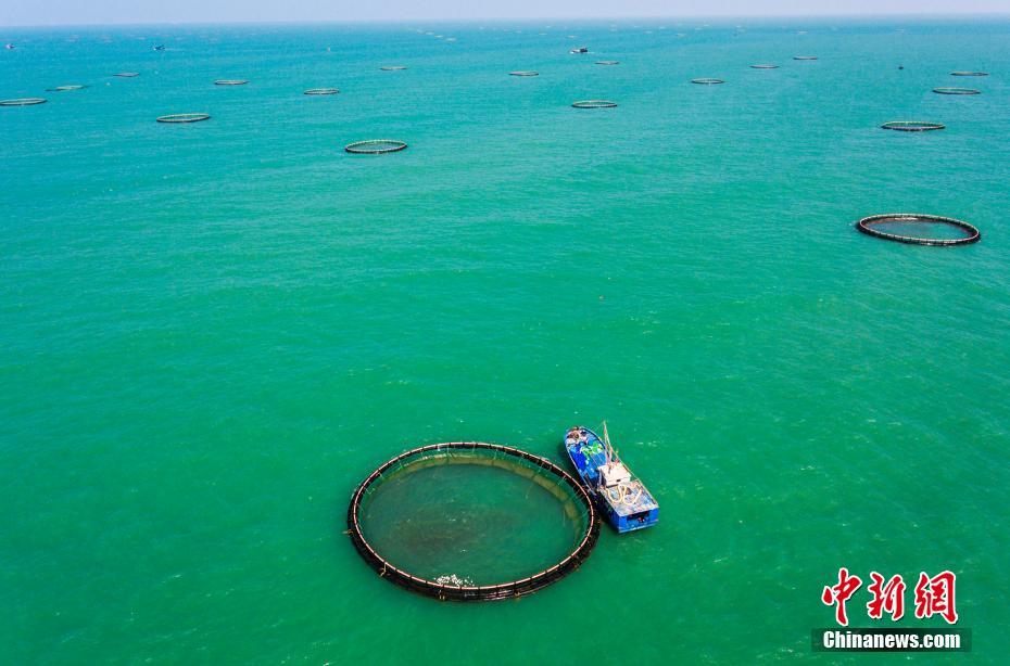 アジア最大の深水ケージ養殖拠点を空撮