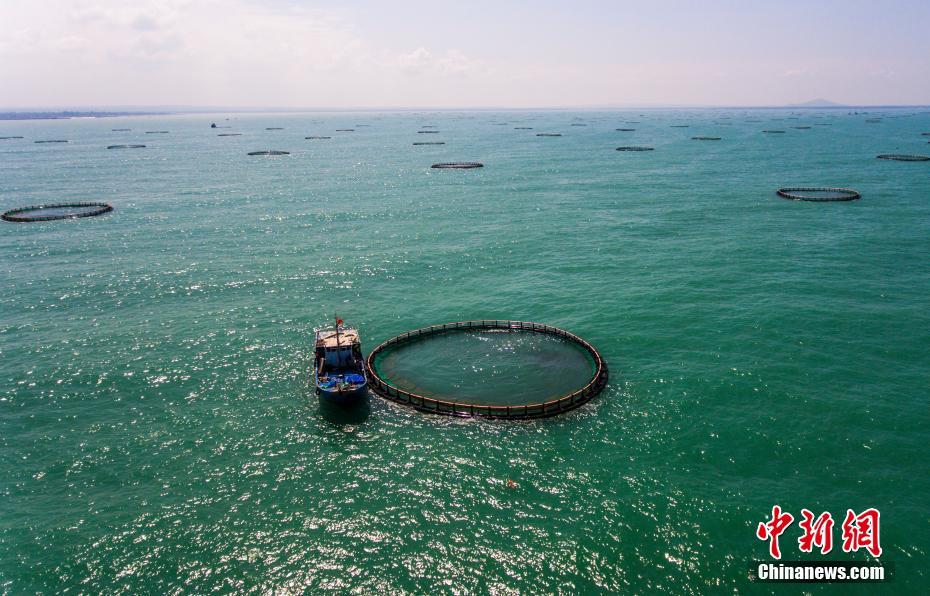 アジア最大の深水ケージ養殖拠点を空撮