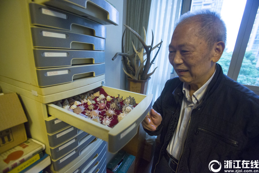 まるで博物館！杭州市の男性が78年かけて集めた三千種類以上の貝殻