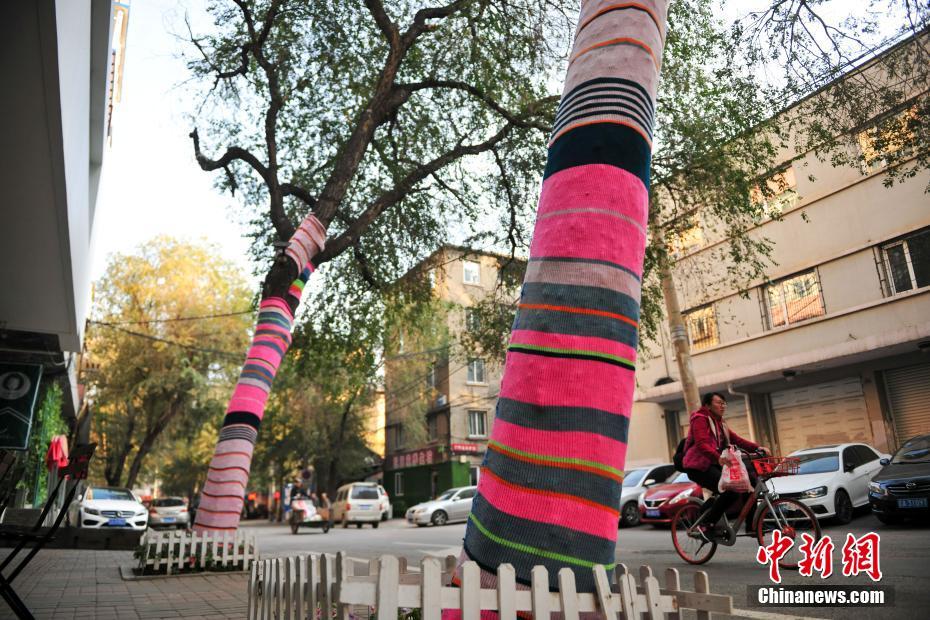 カラフルな「防寒服」を着た街路樹　遼寧省　