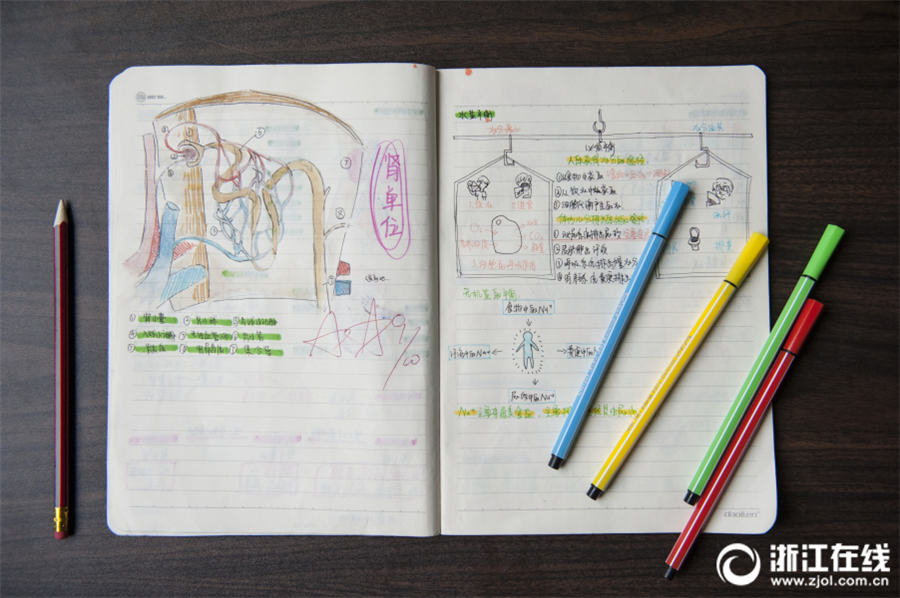 手描きの挿絵に説明文、女子中学生の科学のノートが話題に