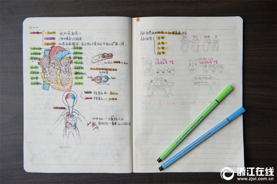 手描きの挿絵に説明文、女子中学生の科学のノートが話題に