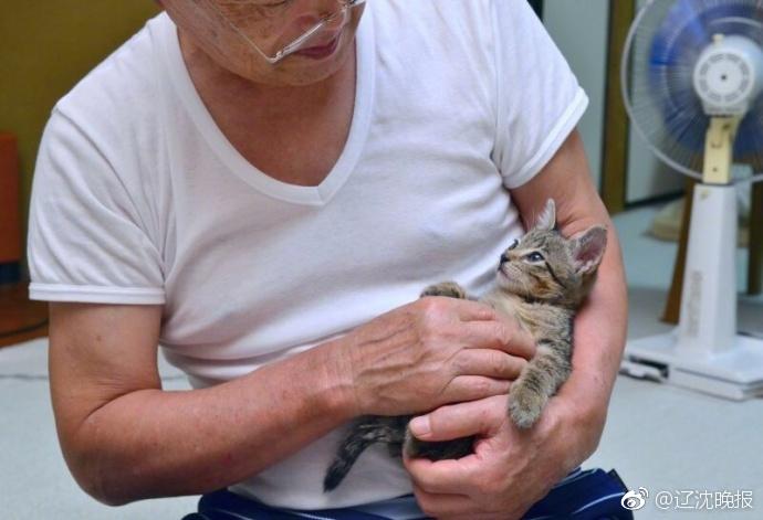 自作のペットボトルバケツで排水溝の奥に落下した子猫を救出　日本