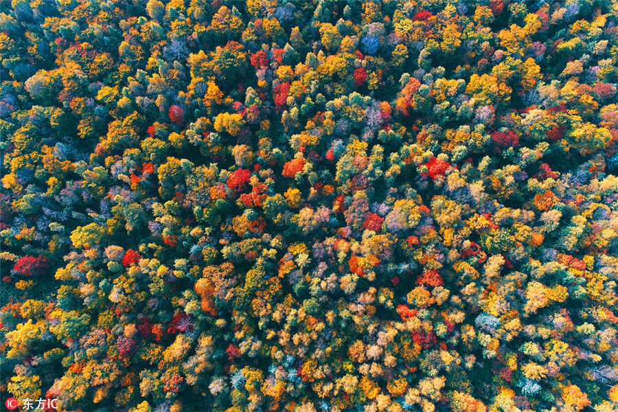 秋が訪れた吉林省の景勝地　様々な色に染まる木々