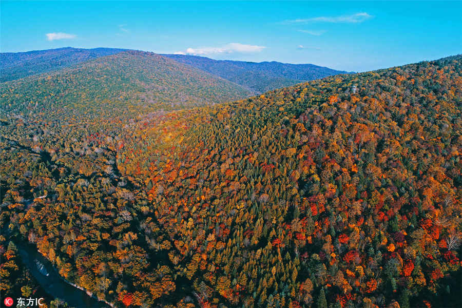 秋が訪れた吉林省の景勝地　様々な色に染まる木々