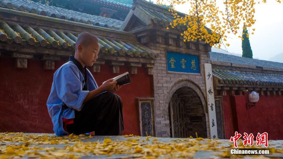 秋の美しさにあふれた寺院　イチョウの葉が敷き詰められた少林寺　河南省