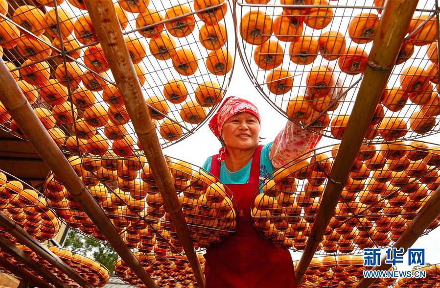 伝統を守り続ける「干し柿ばあちゃん」　経営する農場は観光客に大人気　台湾