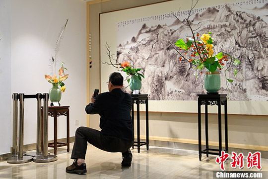 「雁行-中日書画・華道展」が杭州で開幕　華道と書画の上質なコラボ