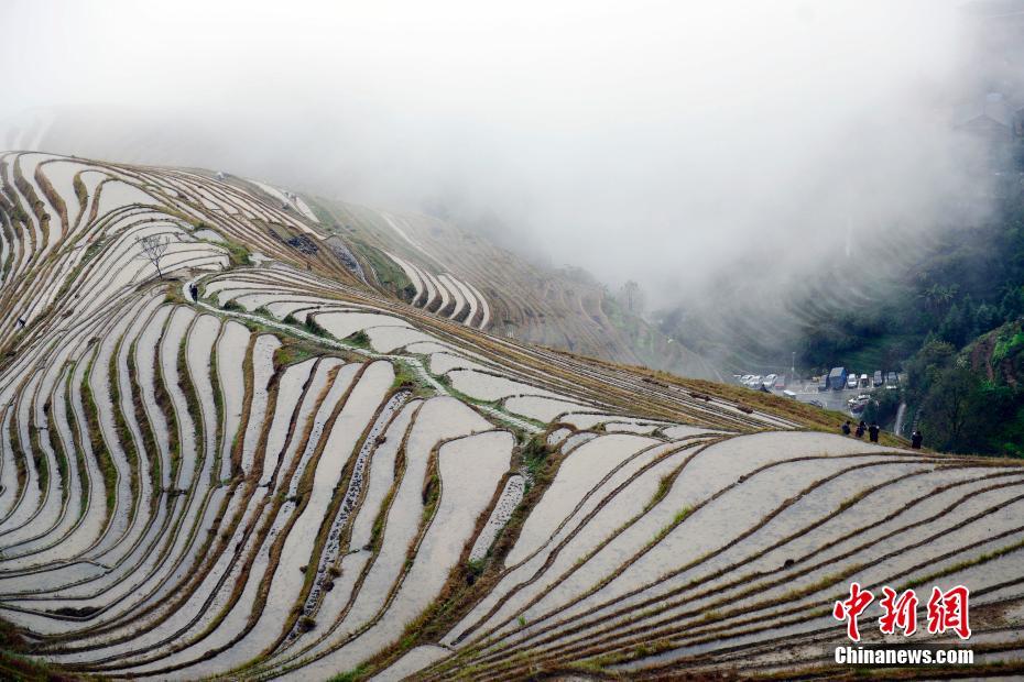 雲霧渦巻く竜脊棚田の幻想的な風景　広西壮（チワン）族自治区